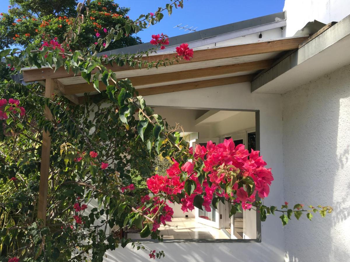 Ancella'S Garden Apartment-Beach-5Min Drive, 1 Hr Montego Bay, 25 Mins Ocho Rios, Continental Breakfast Runaway Bay Zewnętrze zdjęcie