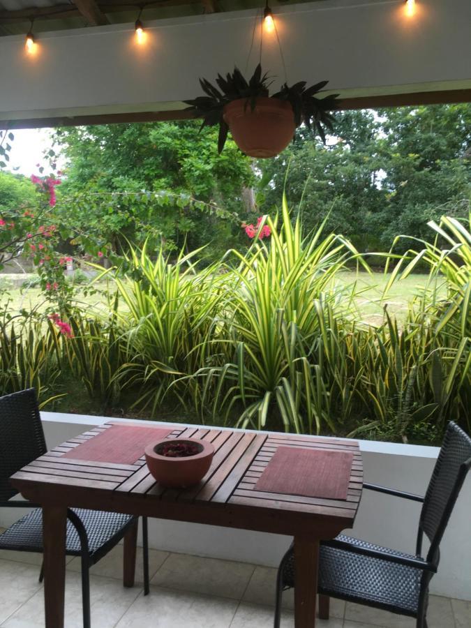 Ancella'S Garden Apartment-Beach-5Min Drive, 1 Hr Montego Bay, 25 Mins Ocho Rios, Continental Breakfast Runaway Bay Zewnętrze zdjęcie