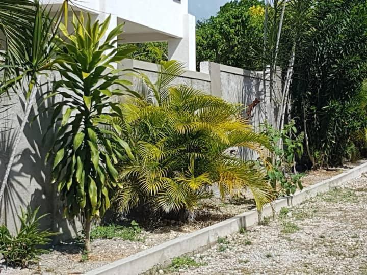 Ancella'S Garden Apartment-Beach-5Min Drive, 1 Hr Montego Bay, 25 Mins Ocho Rios, Continental Breakfast Runaway Bay Zewnętrze zdjęcie
