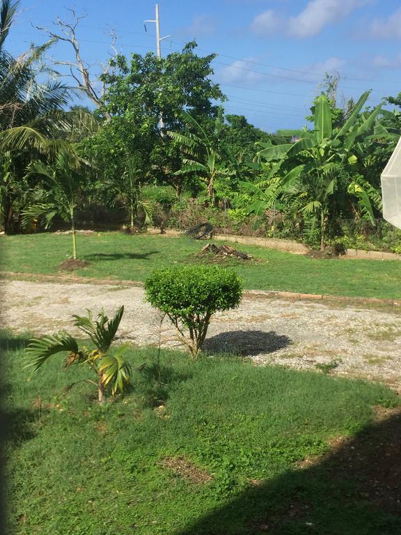 Ancella'S Garden Apartment-Beach-5Min Drive, 1 Hr Montego Bay, 25 Mins Ocho Rios, Continental Breakfast Runaway Bay Zewnętrze zdjęcie
